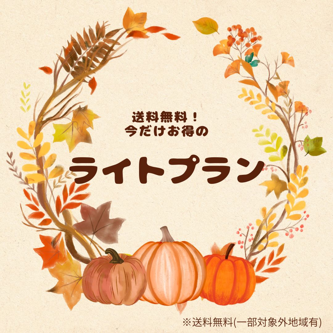 ライトプラン