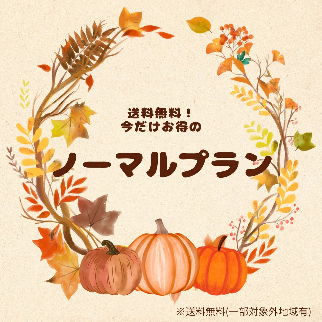 ノーマルプラン